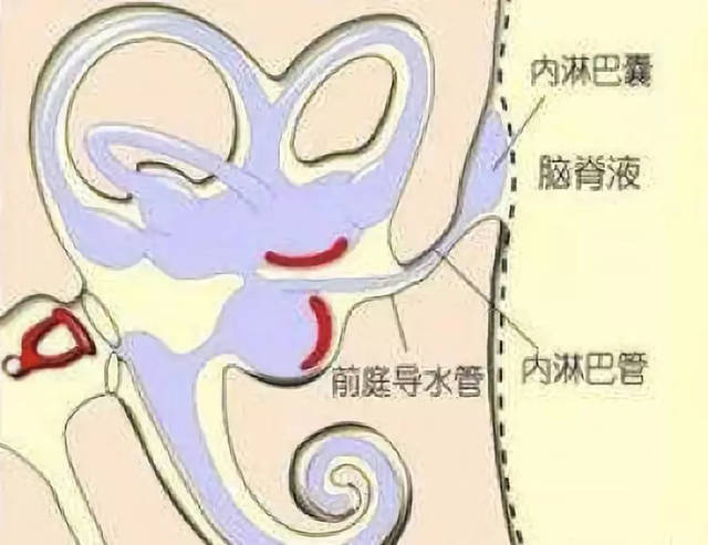 ൺ